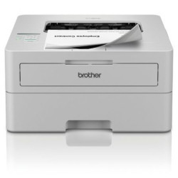Impresora Láser Monocromo Brother HL-L2865DW