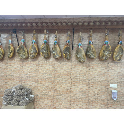 JAMÓN CURADO