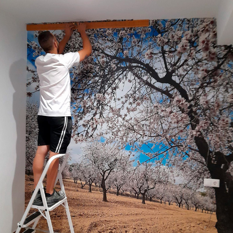 Colocación de Papel y Molduras