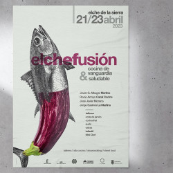 Estudio de Diseño