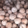 Nueces enteras del terreno