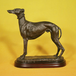 Galgo