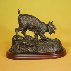 Lince