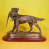 Setter con Faisán