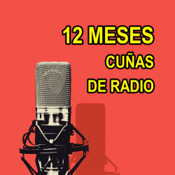 Cuñas de Radio 12 Meses