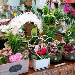 Ramos y arreglos florales