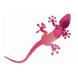 Tarentola