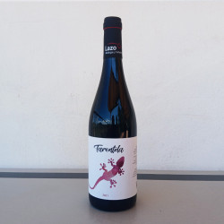 Tarentola
