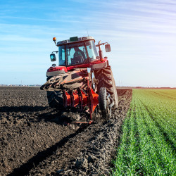 Asesoramiento de explotaciones agrarias
