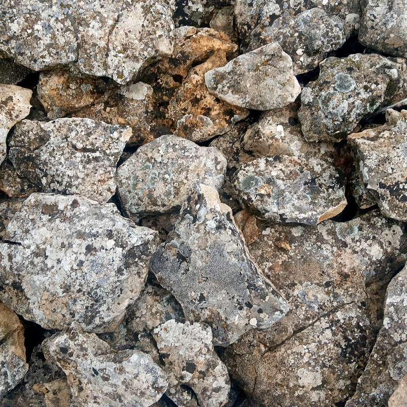 Piedra Caliza Decorativa Musgo Piedra Caliza Decorativa Musgo