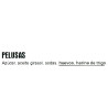 Pelusas