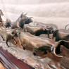 Encierro