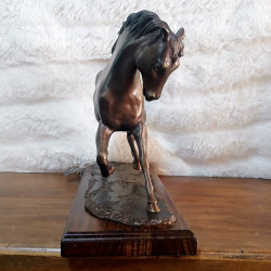 Caballo sin montura