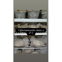 Pan de masa madre y fermentación lenta