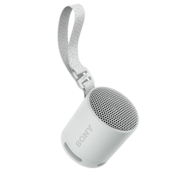 Sony SRS-XB100 Gris