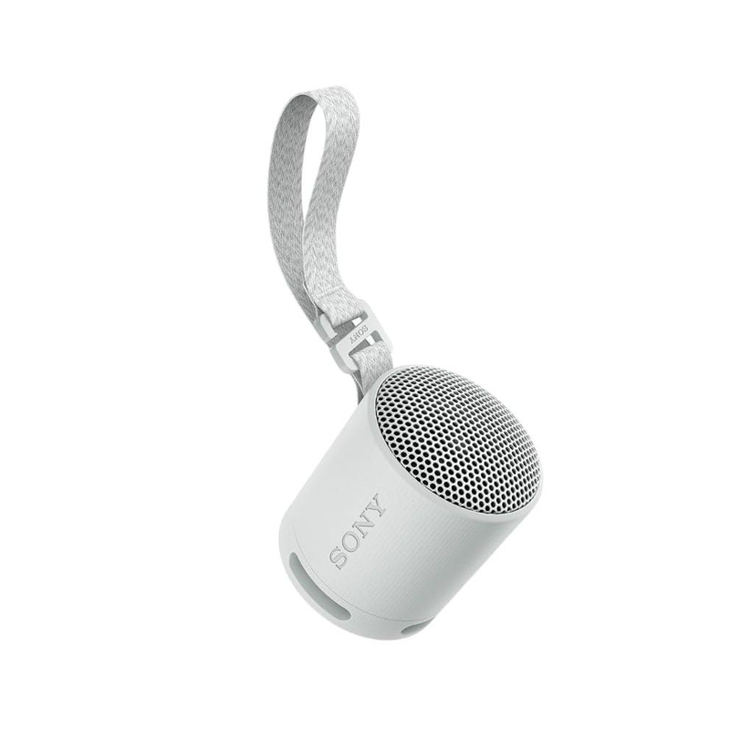 Sony SRS-XB100 Gris