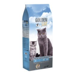 Golden Cat