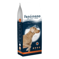Fenómeno