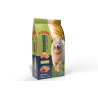 Arion Essential Adult Salmon