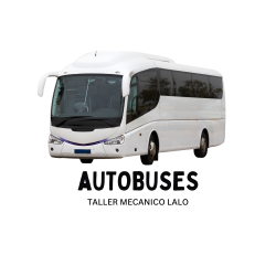 Servicio de autobuses