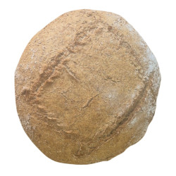 Pan Integral de 1 kg