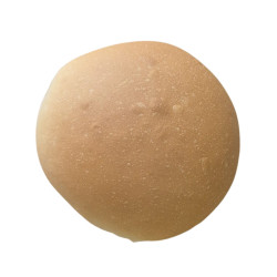 Pan de Hamburguesa