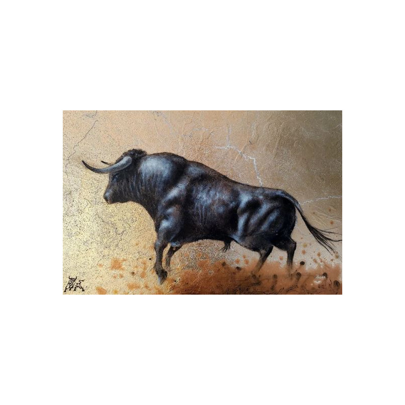TORO N - 01
