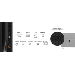 TV TCL 55