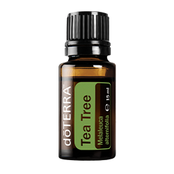 Aceite Esencial Doterra Árbol del té Melaleuca alternifolia