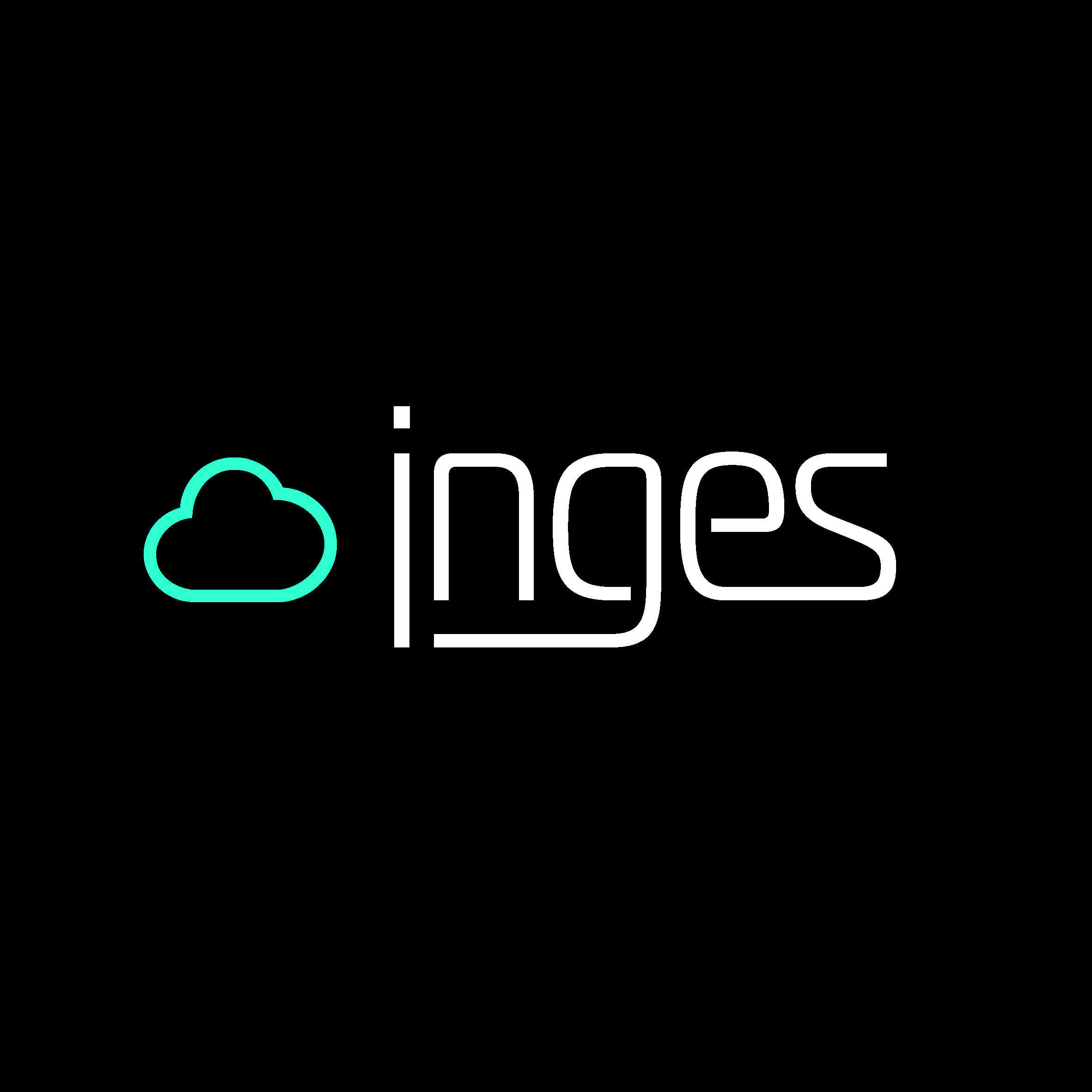 InGes Informatica