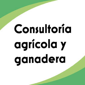 Consultoría Agrícola y Ganadera