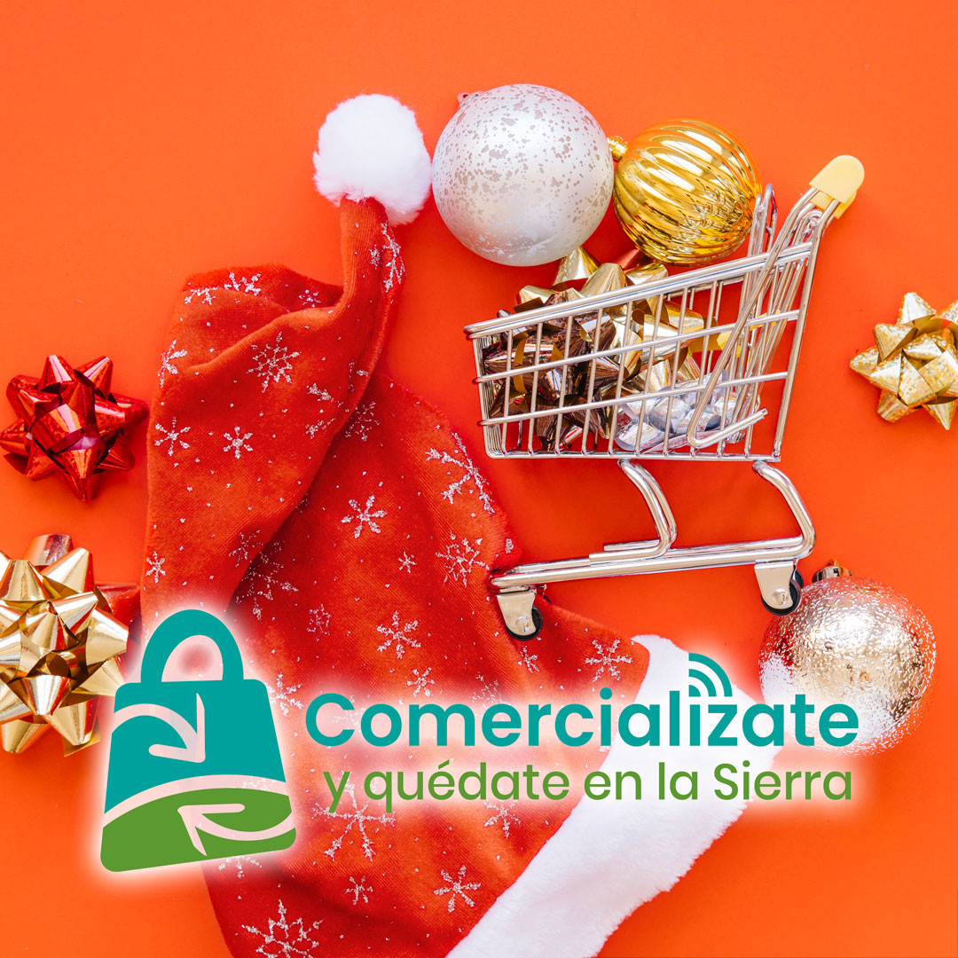 ¿Cómo funcionamos?